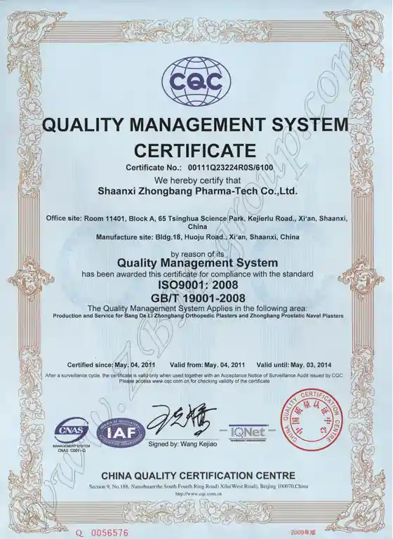 Международный сертификат ISO